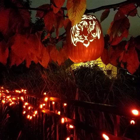 Pumpkin magic lantern